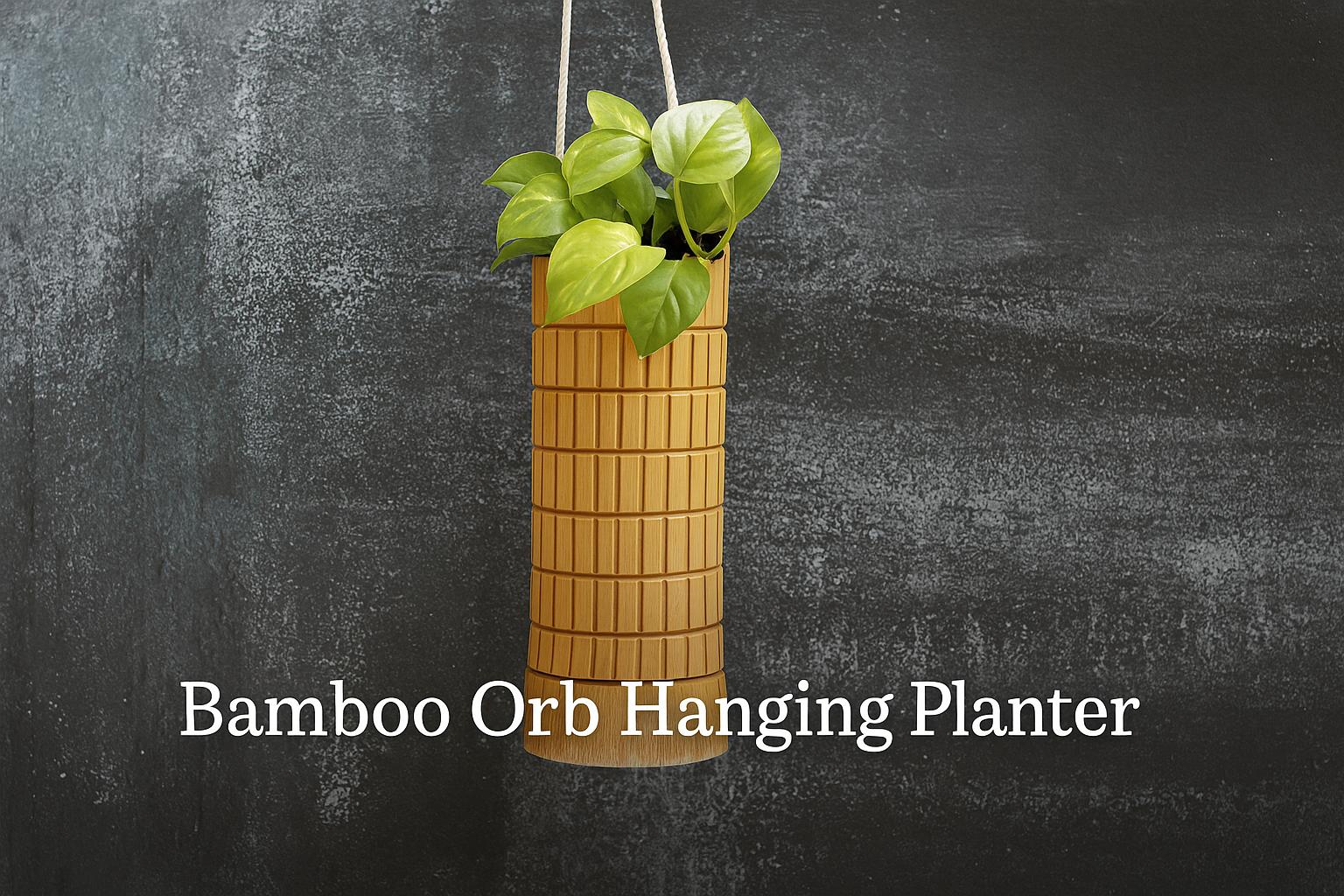 Cylindrical bamboo orb hanging planter with golden pothos, displayed against a dark textured wall, showcasing sustainable indoor gardening aesthetics.